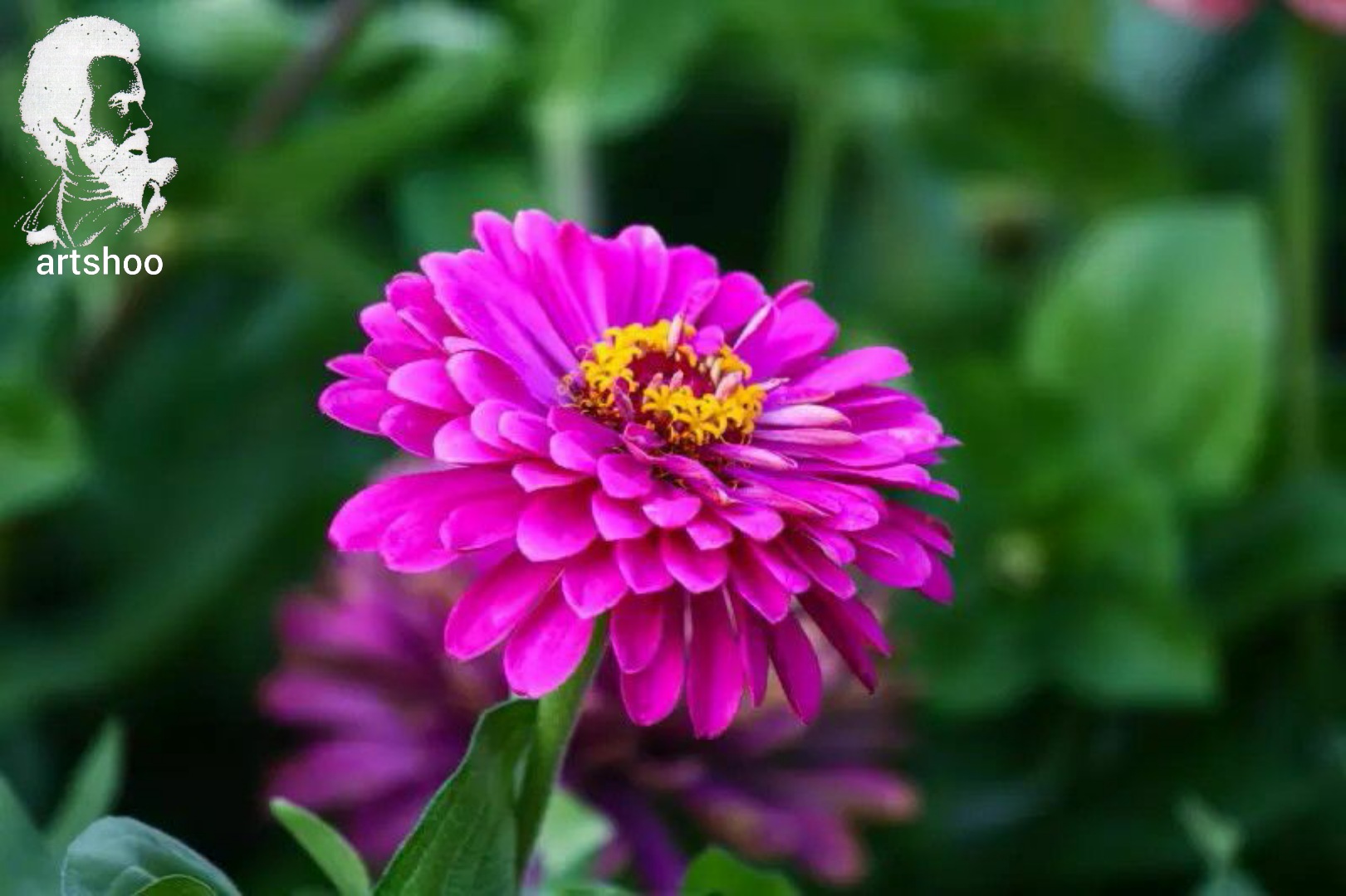 گل اورژینال رنگ روغن